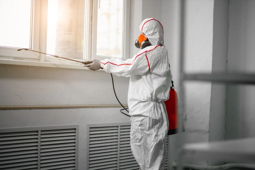 Professional mold remediation services in Bloomfield, NJ
